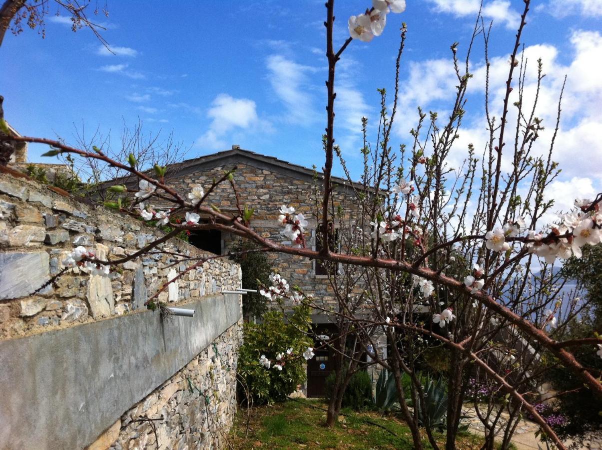 Pyrgos Traditional Village Agios Kirykos  Exterior photo